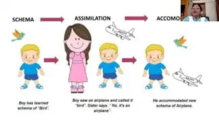 Piaget's Theory Of Cognitive Development for B.Ed 1st semester students