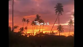 Lack of Color - Tropics Preview