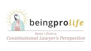 Issue 1: A Constitutional Lawyer's Perspective