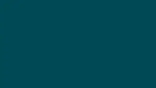 Color Midnight green eagle green, HEX #004953, RGB 0,73,83