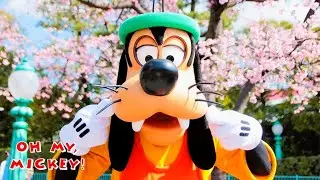 Подборка забавных персонажей: интерактивные персонажи Disney ✨️