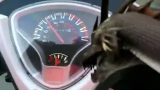 Rossi RS 108R Yokuş testi