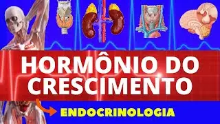 HORMÔNIO DO CRESCIMENTO (GH) - FISIOLOGIA ENDÓCRINA - FISIOLOGIA HUMANA (FISIOLOGIA DO GH) ENDÓCRINO