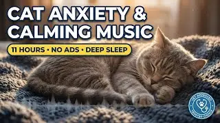 Vet-Formulated Cat Anxiety Therapy: Bioacoustic 