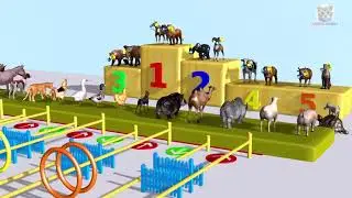 Funny Cartoon Animals Wild Relay Race 100m with Animals Farm Indoor Playground for Children #craton