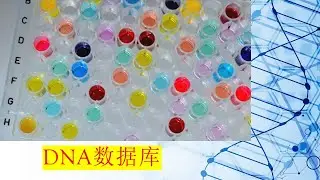 DNA数据库的透视概述 (Chinese)  在五分钟内
