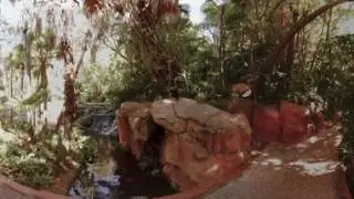 Sun City Gardens VR