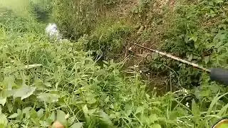 mancing di spot parit kecil