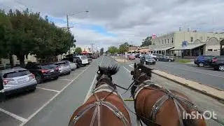 Horse Carriage Ride & River Cruise on the Murray aboard PS Canberra - Echuca, Victoria, Australia