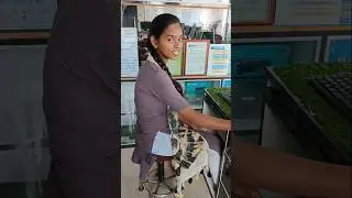 PDF File Kaise Open Kare #pdf #print #viral #shortsvideo #shorts