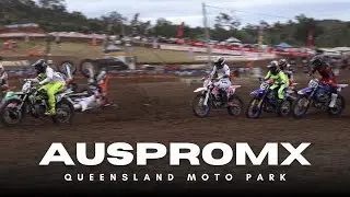 QMP PROMX: My Best overall yet!