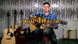 Greg Bennett D-1 and D-2 Acoustic Guitars