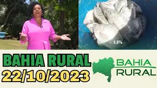 22/10/2023 BAHIA RURAL DE HOJE, BAHIA RURAL AO VIVO