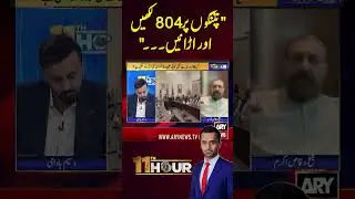 #imrankhan #basant2026 #PTI #sheikhwaqasakram #protest #waseembadami
