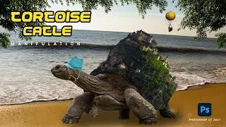 Turtle walking on the beach Photo Manipulation - Fantasy Photoshop Compositing Tutorial