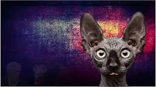 Грубник на выход ! Вы обосравшись !!!👍😂🤣😅