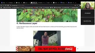 251212 Permaculture Basics Layers of a Food Forest