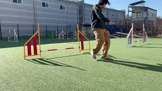 Agility : Handling with Agur 08/01/2026