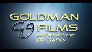 Goldman Films  2016 demo