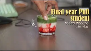 Final year phd student video record | mini vlog | home cafe | study