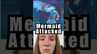 The Merpeople #funny #facts #mermaid