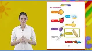 Ch 9 | Fun Buddy Books |Junior | UKG  English Primer | Colours | For children
