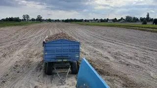 Kopanie Ziemniaków Przemysłowych 2025