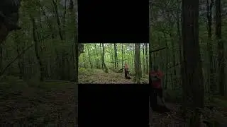 putting up my hammock in North Devon woods.