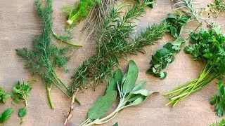 Herb Stems - Don't Throw Them Out! | Food 101 | Well Done