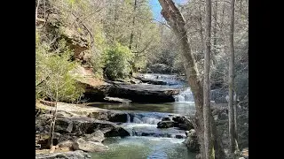 Sheltowee Trace   Bark Camp Creek to Dog Slaughter Creek