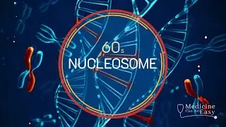 Genetics in 60 seconds: Nucleosome