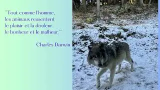 L'hiver aux alentours de Montr&eacute;al - Parc Omega