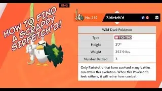 Where To Find Hidden Ability SCRAPPY SIRFETCH'D - Pokemon Sword