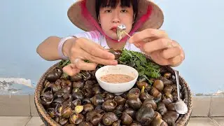 ỐC LÁT LUỘC SỮA TƯƠi CHẤM CƠM MẺ ĐÚNG CHUẨN MIỀN TÂY | TNCM 