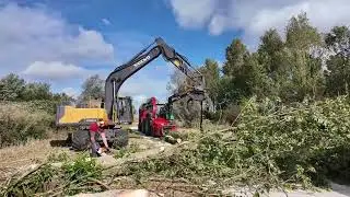 vlog 43 dagje bomen