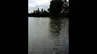 Pesca lago manzolini