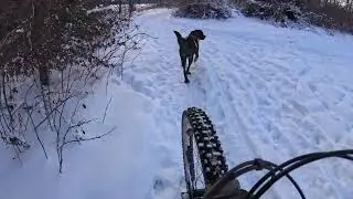 Berta Traildog 10 01 26