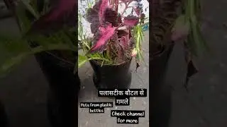 making pots using plastic bottle #recycle #reuse #plastic