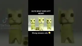 Guys, what does “wtf” mean? (Wrong answers only)