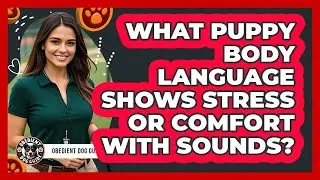 What Puppy Body Language Shows Stress Or Comfort With Sounds? - Obedient Dog Guide