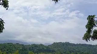 Beauty of Nature 💚✨️ #love #nature #beautiful #cute #calm #relax #mindset #views #cool #nature