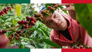 You Won't Believe How Coffee is Made! ☕️ (Visiting a Mexican Coffee Farm Part 2)