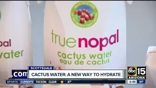 Cactus water the new coconut water?