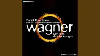 G&ouml;tterd&auml;mmerung : Act 3 