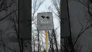 13 января 2026_Сбербанк 2202203654418625 Каспи Елена Константиновна +7 771 194 42 69 Телеграмм Гл...