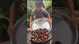 Little chef shows off his talent-transforming snails and fish into a perfect meal