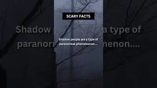 Scary facts you should know #scary #creepyfacts #scaryfact #scarystories #creepy #horrorstory