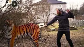 Den magiska pinnen Green screen exempel