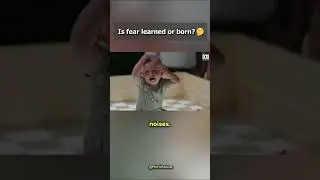 Is Fear Learned Or Born? 🤔