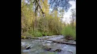 A day hike in Seattle -  Day Hiking in Wallace state park.